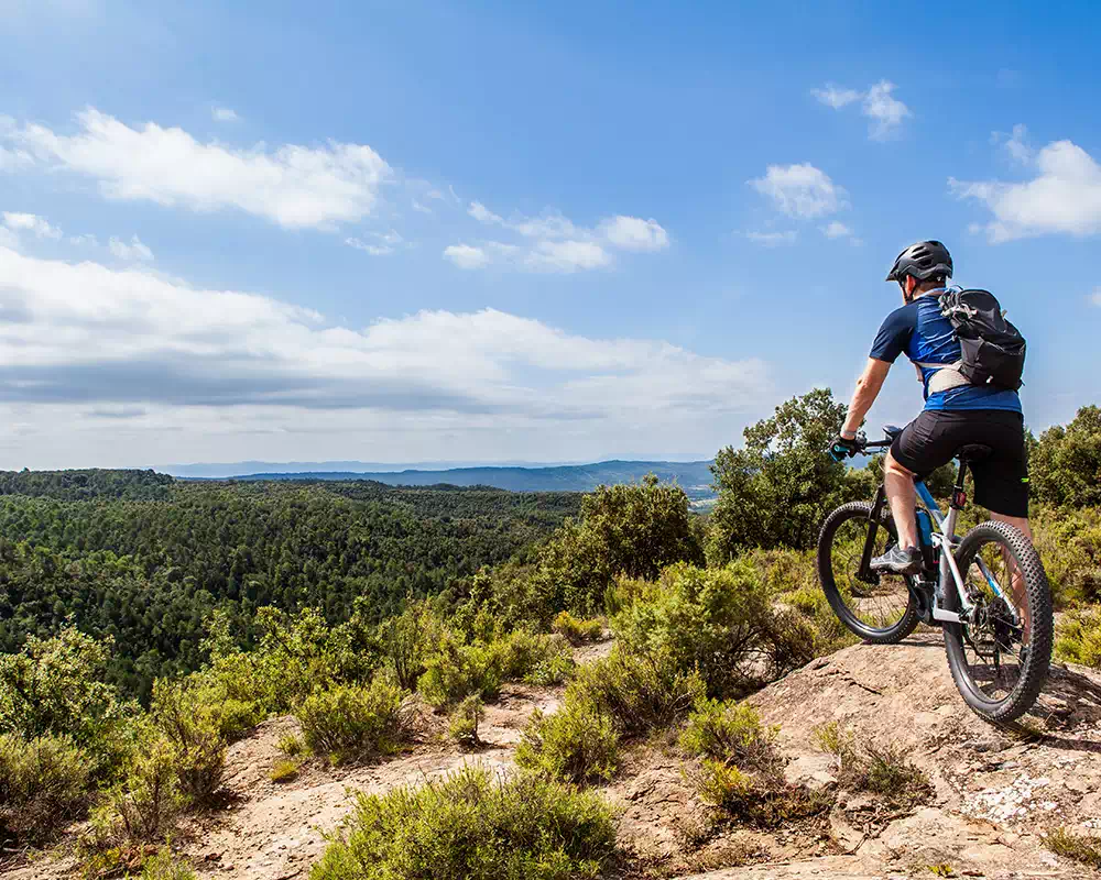 negozio-per-Mountainbikes-imola